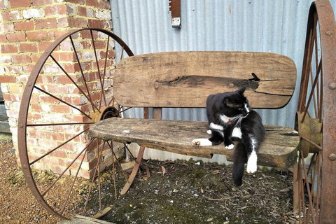 A Twist Of Willow - Melbourne Tourism 7