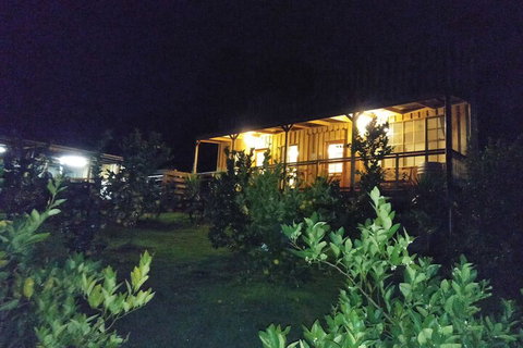 A Twist Of Willow - Melbourne Tourism 4