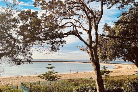 Kims Beachside Retreat - Melbourne Tourism 1