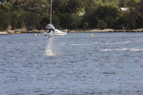 Tani Hill - Melbourne Tourism 1