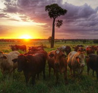 Myella Farm Stay - Melbourne Tourism