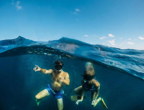 Manta Lodge YHA & Scuba Centre - Melbourne Tourism 6