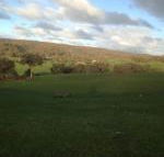 Mancuso Country Cottage Retreat - Melbourne Tourism