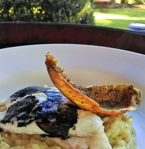 Arimia Restaurant And Winery - Melbourne Tourism 26