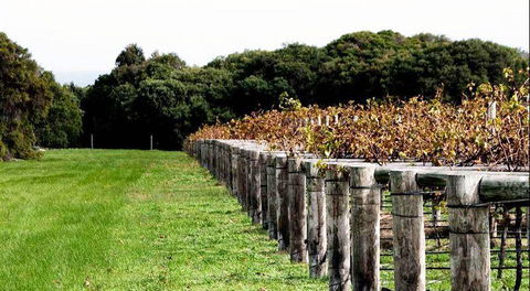 Arimia Restaurant And Winery - Melbourne Tourism 5
