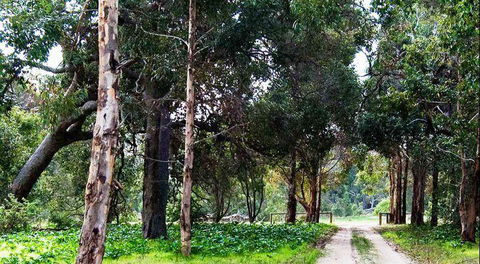 Arimia Restaurant And Winery - Melbourne Tourism 7