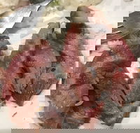 Ajisen Ramen Highpoint - Melbourne Tourism