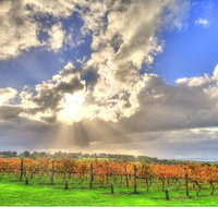 Max's at Red Hill Estate - Melbourne Tourism