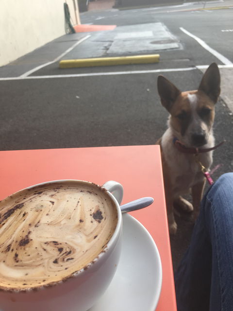 Open Book Cafe - Melbourne Tourism 3