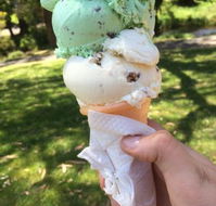 The Rainbow Ice Cream Shop