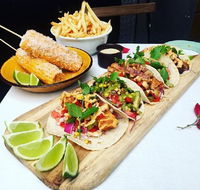 Chihuahua - Melbourne Tourism