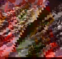 Cantina On Capri - Melbourne Tourism