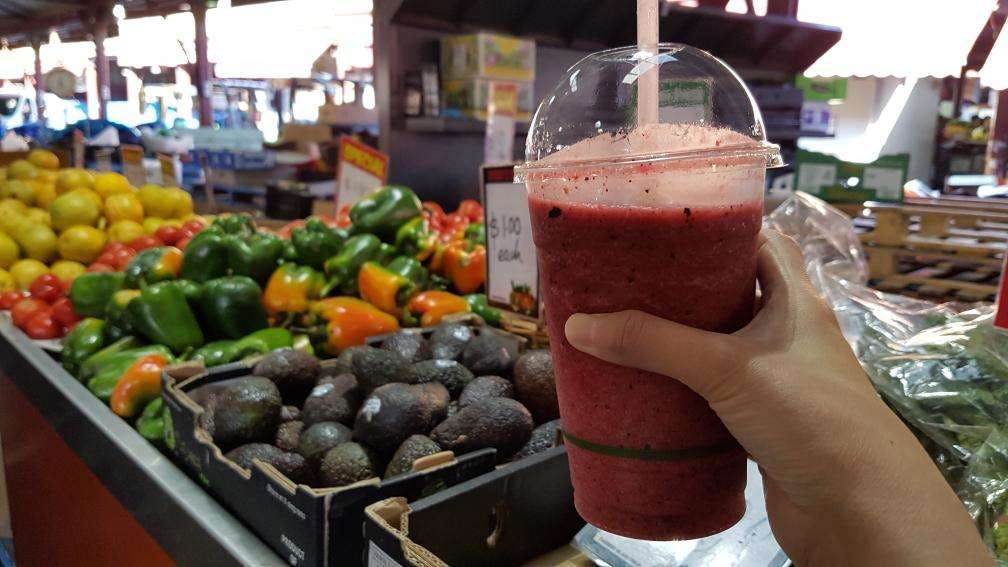 North Geelong VIC Melbourne Tourism