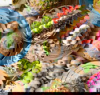 Raw Energy - Sippy Downs - Melbourne Tourism