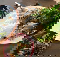 Thien An - Melbourne Tourism