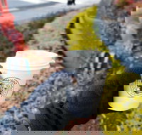 Thomas Holt Roasters - Melbourne Tourism