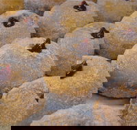 Miami Bakehouse Mandurah - Melbourne Tourism