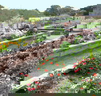 The Farmer's Place - Melbourne Tourism