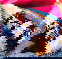 Donut King - Epping - Melbourne Tourism