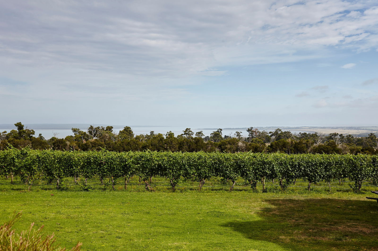 Tenby Point VIC Melbourne Tourism