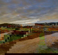 Baarmutha Wines - Melbourne Tourism