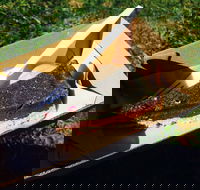 Byron Juice Bar - Melbourne Tourism