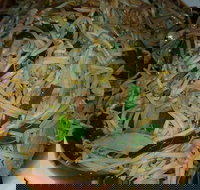 Old Kingdom - Surrey Hills - Melbourne Tourism