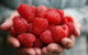 Christmas Hills Raspberry Farm Cafe - thumb 0