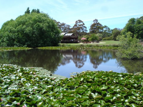 Christmas Hills Raspberry Farm Cafe - Melbourne Tourism 1
