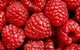 Christmas Hills Raspberry Farm Cafe - thumb 2