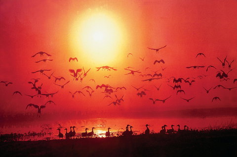 Airport Tavern - Darwin International Airport - Melbourne Tourism 0