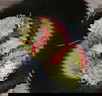 Crowded House - Melbourne Tourism