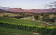 Dryridge Estate - thumb 0