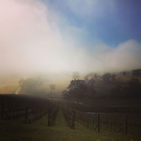 Dryridge Estate - Melbourne Tourism 1