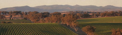 Angullong Cellar Door - Melbourne Tourism 1