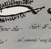 Williamstown Mussels - Melbourne Tourism