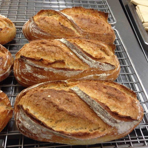 Harvest Boulangerie Patisserie - Melbourne Tourism 0