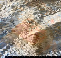 Mad Mex Fresh Mexican Grill - Melbourne Tourism