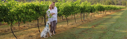 Greenway Wines - Melbourne Tourism 1