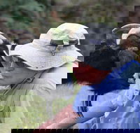 Providence Vineyards - Melbourne Tourism