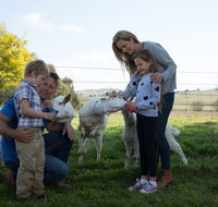 Sunhill Dairy Goats and Sunhill Skin Essentials - Melbourne Tourism