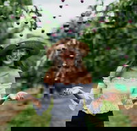 Cherryhill Orchards - Melbourne Tourism