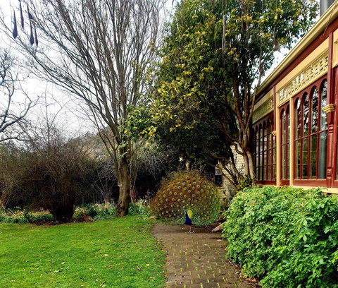 Glen Derwent Tea Rooms - Melbourne Tourism 0