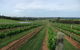Razorback Ridge Wines - thumb 0