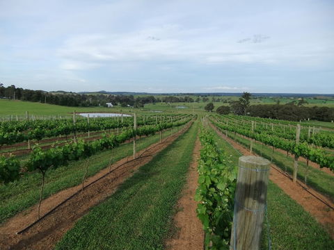 Razorback Ridge Wines - Melbourne Tourism 0