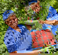 Willayoung Orchard - Melbourne Tourism