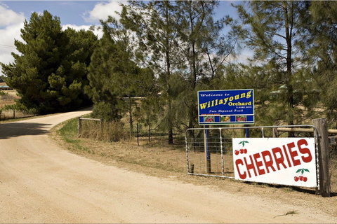 Willayoung Orchard - Melbourne Tourism 1