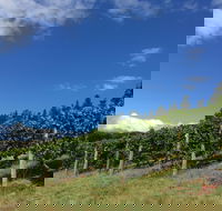 Freycinet Vineyard - Melbourne Tourism