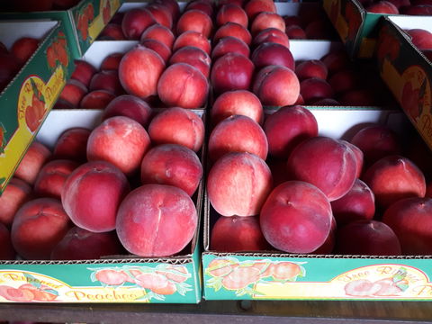 Martins Orchard - Melbourne Tourism 0