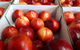 Martins Orchard - thumb 1